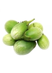 باذنجان أخضر دائري