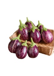 نجمة باذنجان