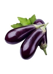 باذنجان