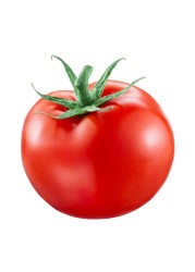طماطم