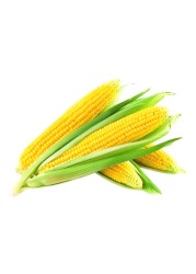 ذرة حلوة