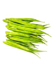 فاصوليا العنقودية (غوار)