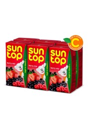 Suntop Berry Mix Juice 125ml Pack of 6