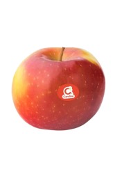 Apple Club Candine