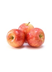 Large Royal Gala Apple