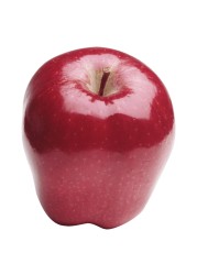 Red Apple Large