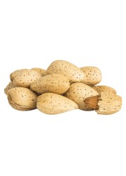 Fresh Almond In Shell