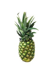 Pineapple Premium