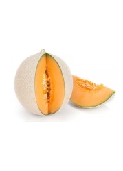 Rock Melon