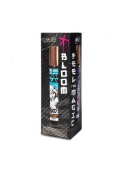 Miss Kay WINX Collection Kit - 4 Pieces