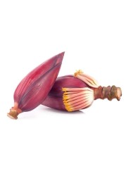 Banana Flower