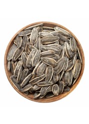 Los Pinos Salted Sunflower Seeds