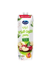 Ocean Spray Cranberry Apple Mixed Fruit Drink 1L
