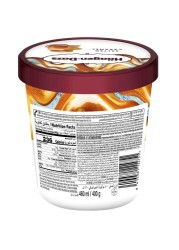 Haagen Dazs Salted Caramel Ice Cream 460ml
