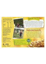 Nature Valley Salted Caramel Nut Protein Bars 40g Pack of 4