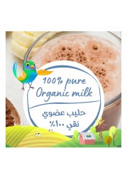 Arla Organic Chocolate Milk, 200ml