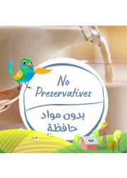 أرلا أورغانيك حليب عضوي قليل الدسم 200 ملل