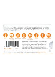 Xylichew Sugar Free Fruit Flower Chewing Gum 21g