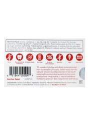 Xylichew Cinnamon Counter Display Chewing Gum 21g