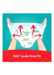 Pampers Rash Protection Pants Size 6 16kg+ Mega Pack 34 Pants Pack of 3
