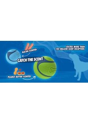 CI SNIFF FETCH BALL BACON MD 1PK