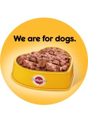 Pedigree Chicken Loaf Wet Food for Dog, 400g