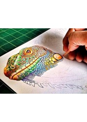 Staedtler 52 Coloring Set, 48 Colored Pencils - 2 x 24 Colored Pencil Set, 2 Nylon Pencil Cases, 2 Double Hole Sharpeners
