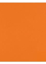LUXPaper 85 x 11 Cardstock Letter Size Mandarin Orange 100lb Cover 183lb Text 50 Qty