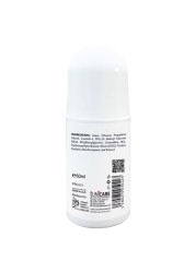 Pastil Anti-Perspirant Deodorant Roll-on Natural 60ml