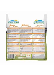 Pleil Soleil Mango Chunks 400g