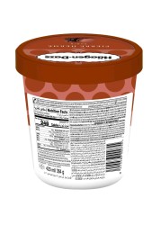 Haagen-Dazs Macaron Double Chocolate Ganache Ice Cream Tub 420ml