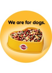 Pedigree Vital Protection Beef and Vegetables Flavour Dry Food for Adult Dog, 3kg