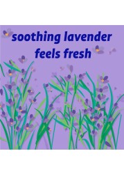 Originally Yellow Natural Moisture Absorber Lavender 300g
