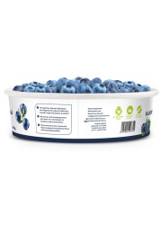 Blueberries Premium 250g
