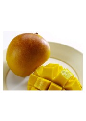  Mango R2E2