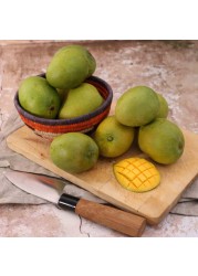 Mango Alphonso