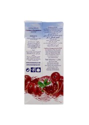 Ocean Spray Cranberry Pomegranate Juice 1L