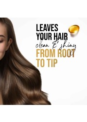 Pantene Pro-V Daily Care 2 in 1 Shampoo 400ml