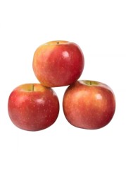 Apple Club Candine