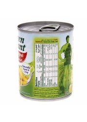 Green Giant Niblets Sweet Corn, 198g