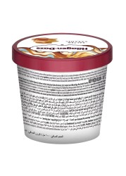 Haagen Dazs Salted Carmel Ice Cream 100ml