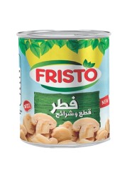 Fristo Canned Mushroom Pieces and Slices 165g