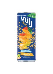 Rani Float Mango Peach Grape Apple Pear Mixed Fruit Drink No Added Sugar 240ml Pack of 6
