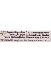 Earth Goods Gluten Free Organic Penne Brown Rice And Corn 250g