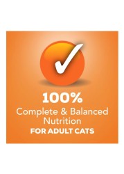 Purina Friskies Pate Poultry Platter Wet Cat Food, 156g