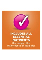 Purina Friskies Mixed Grill Wet Cat Food Pate, 156g