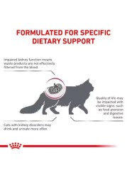 Royal Canin Renal Dry Cat Food 2kg
