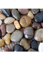 Polished Indian Stone 10 kg (1-2cm) Aquarium Pebbles Natural Gravel Fish Tank Stones