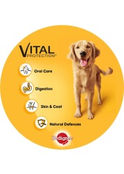 Pedigree Chicken Loaf Wet Food for Dog, 400g