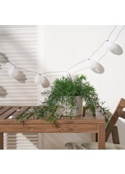 Artificial Potted Plant In/Outdoor Asparagus/Hanging 12 Cm